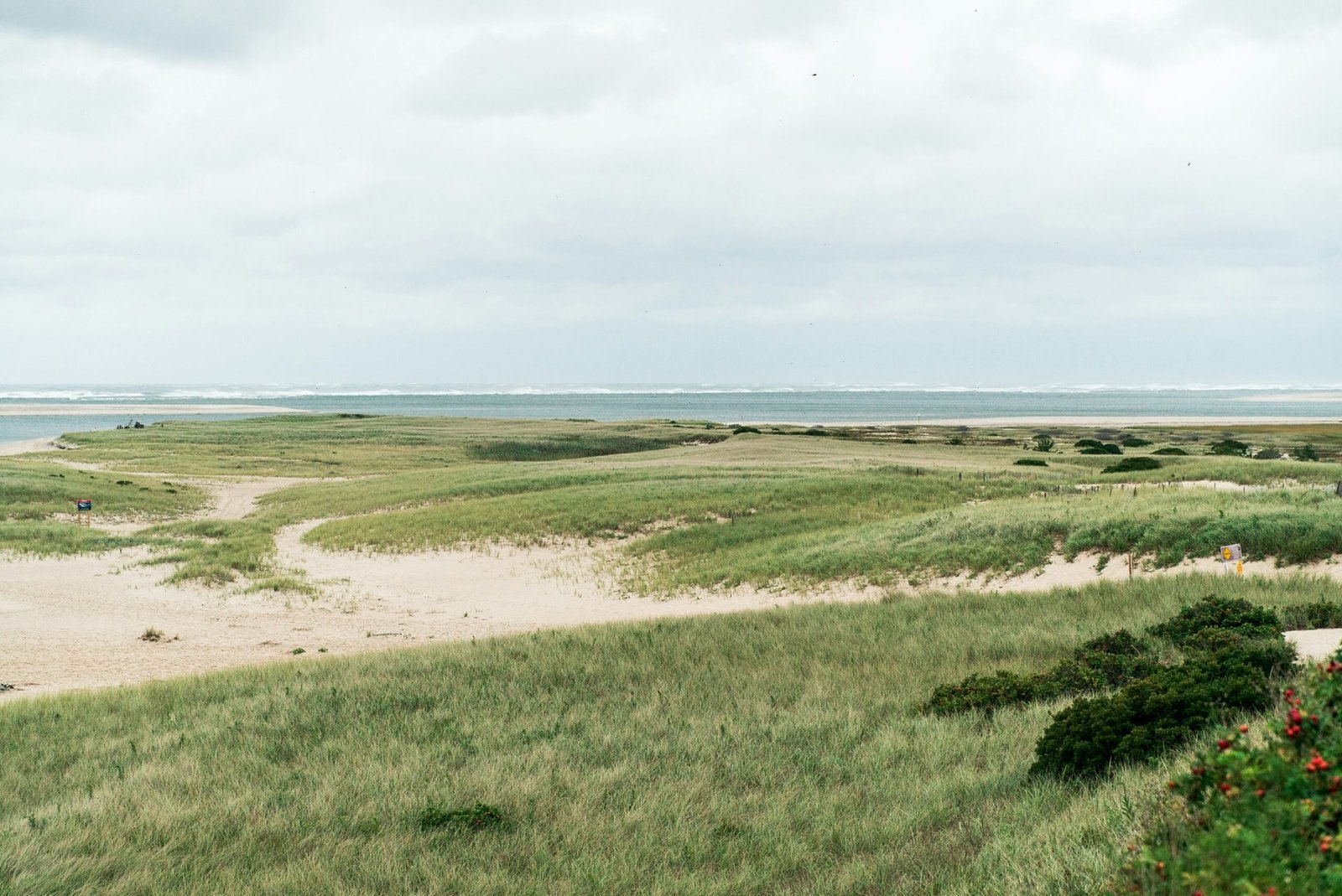 Cape Cod is one of the best beaches in the US. Explore the sand dunes.