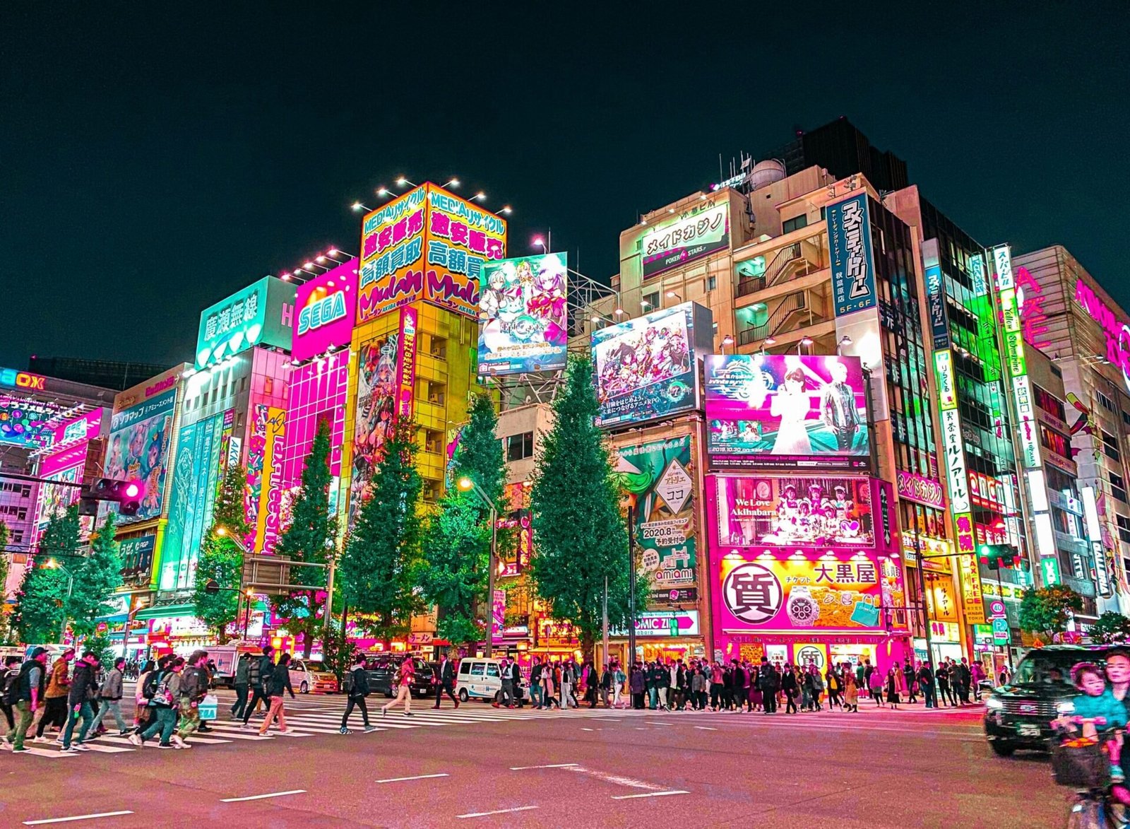 Akihabara is a must-visit for any first time visit to Tokyo.