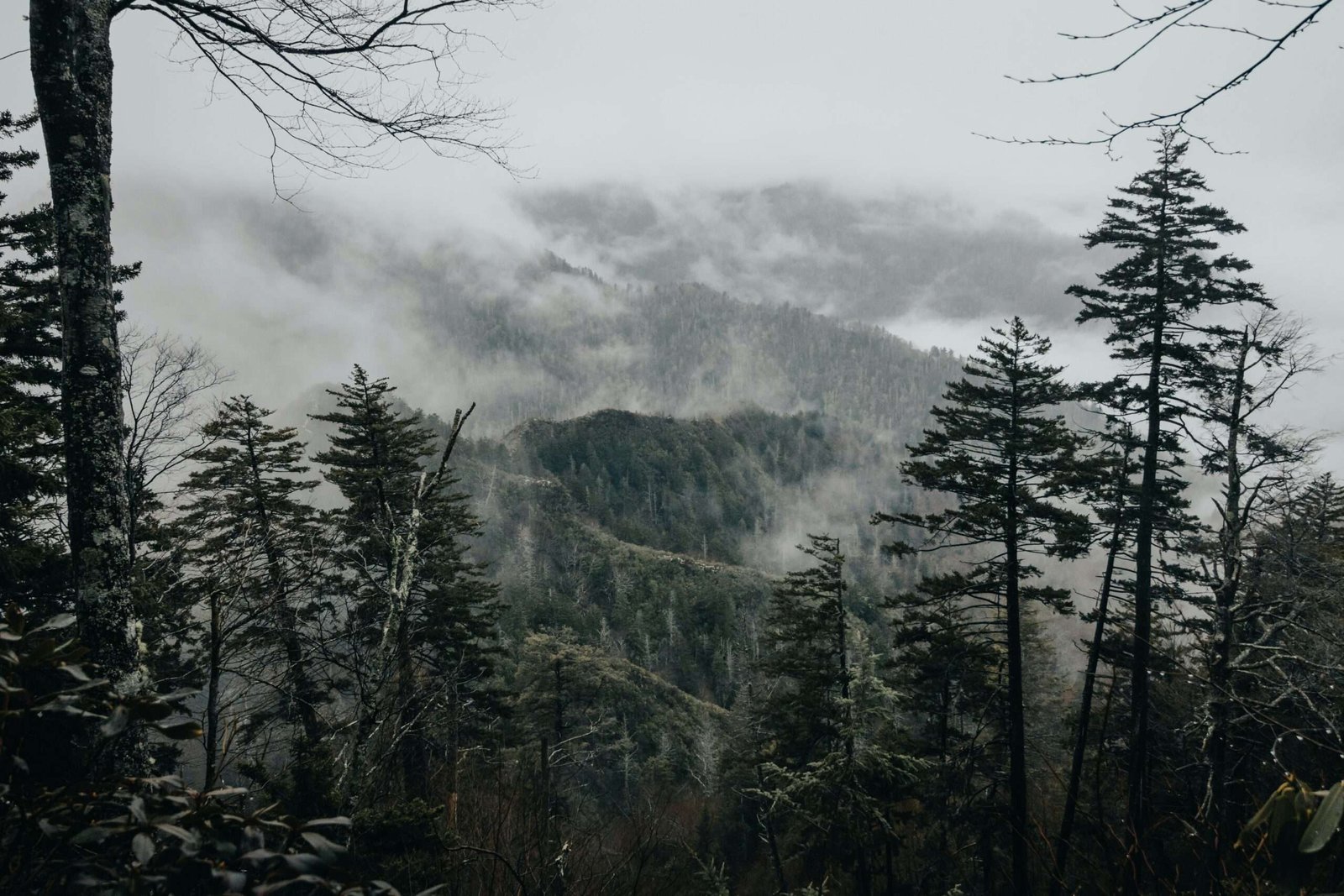 Great Smoky Mountain National Park is #5 on our best national parks for hiking list.