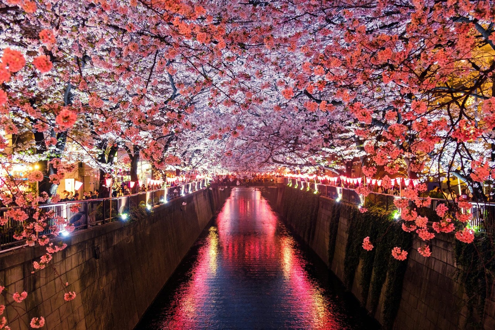 Japan is #10 on our best countries for expats with families. Featured is the beautiful cherry blossoms of Japan.