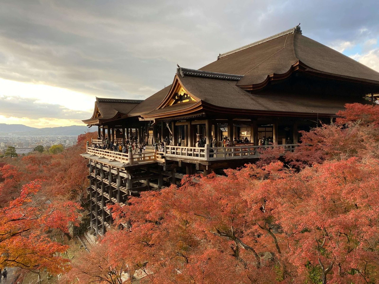 Japan is one of the best countries to visit in November. Featured is a temple with fall foliage surrounding it.