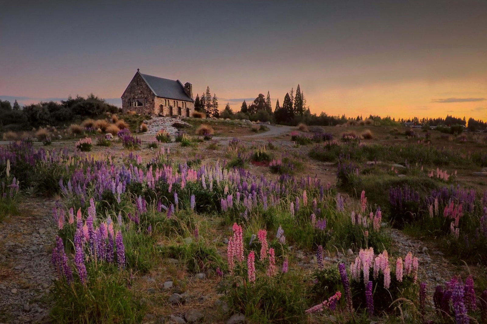 New Zealand is #4 on our best countries for expats with families. Featured is a cozy house in the background of a beautiful field of flowers.