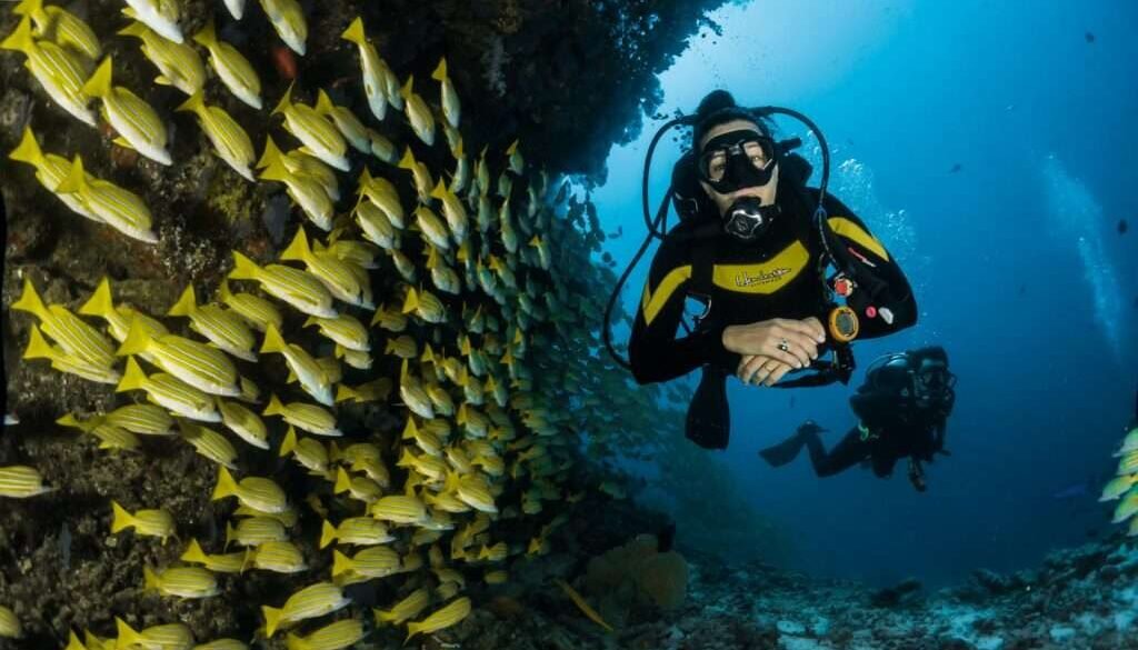 Maldives Scuba diving