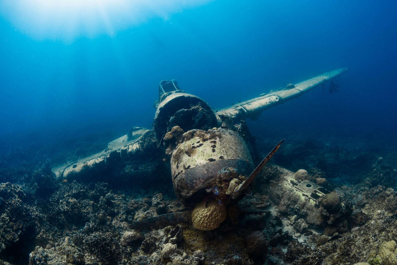 Palau in Micronesia is some of the best scuba diving in the world.