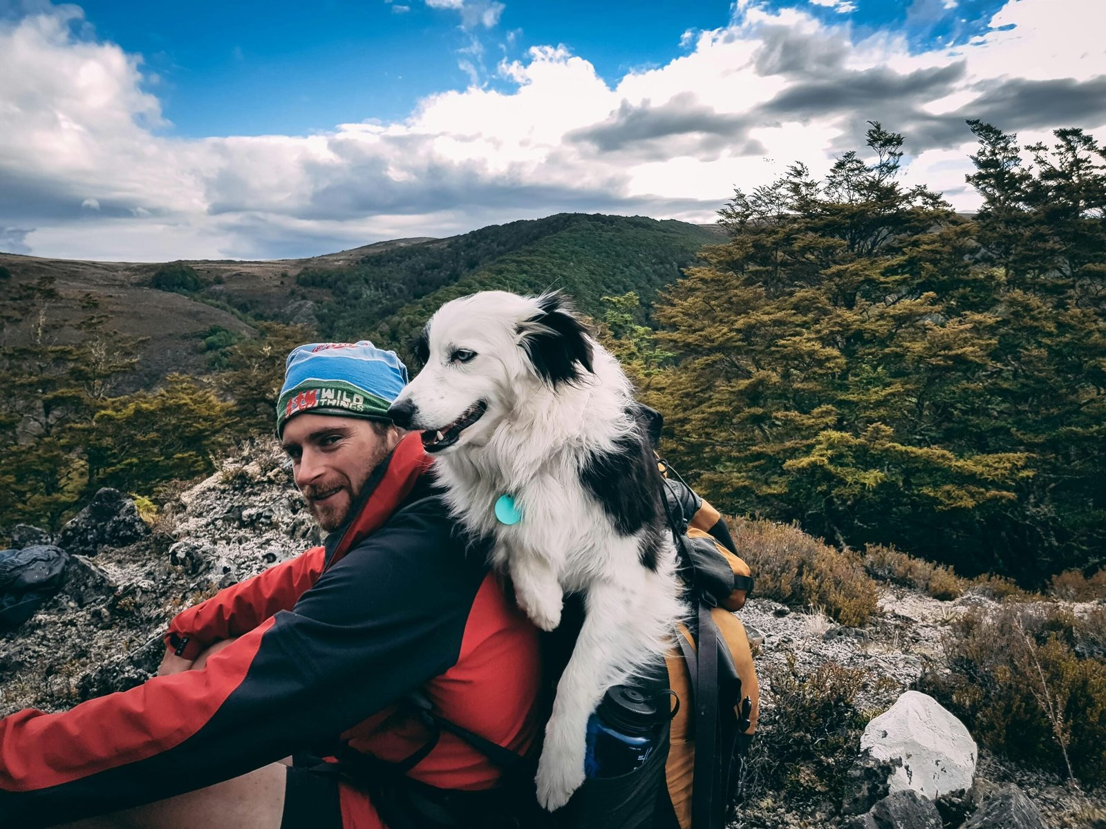 Explore our guide to the best pet-friendly destinations. Featured is a man and his dog hiking.