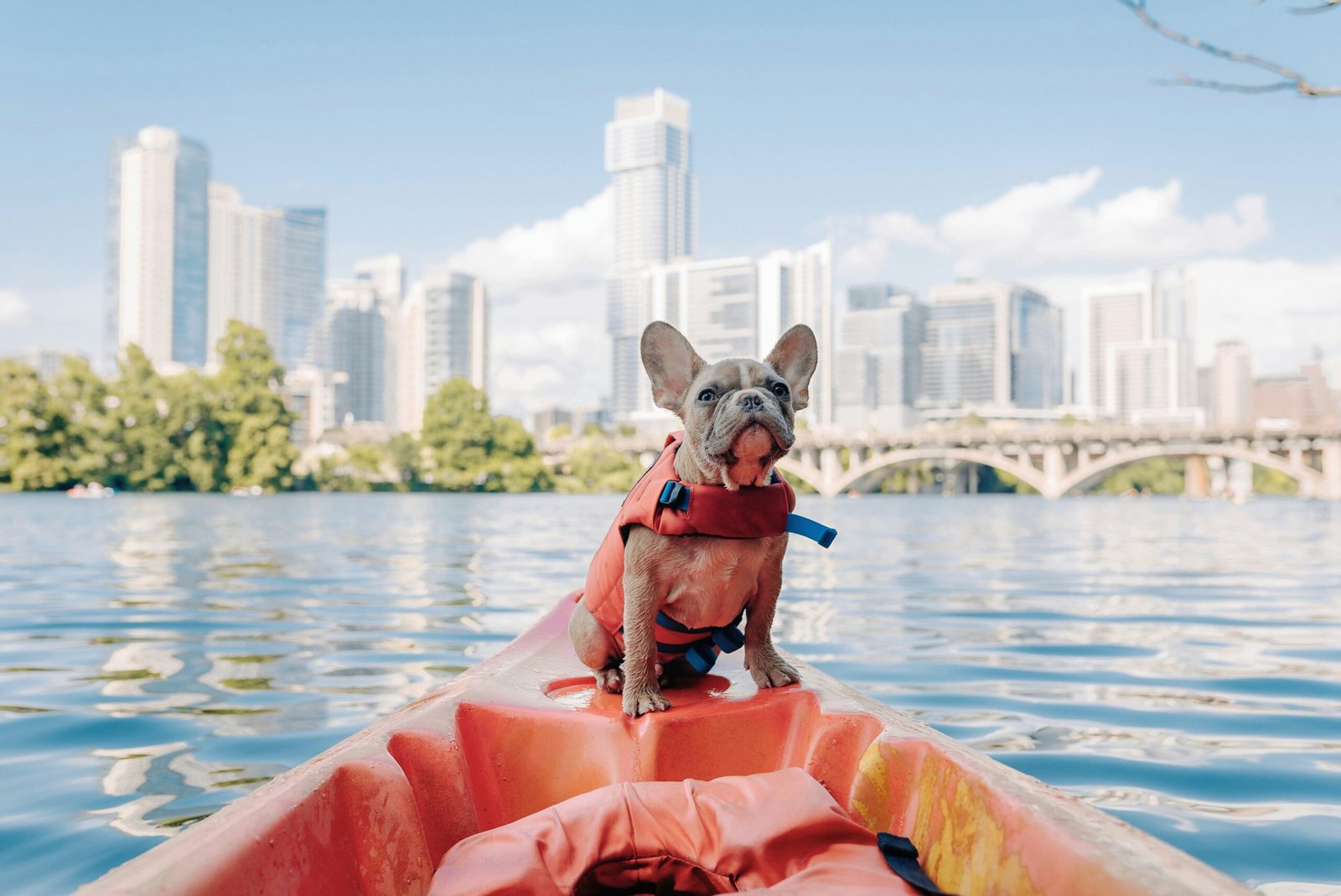 Seattle is one of the best pet-friendly destinations. Featured is a cute dog in a kayak.