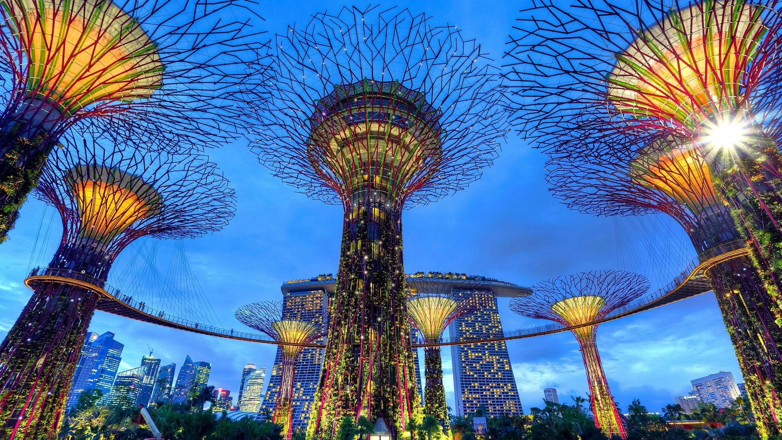 Explore what to do in Singapore for 3 days. Featured is Singapore's Supertrees.